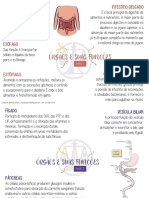 (SN) - Novos Mapas Aula 02