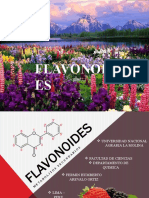 Flavonoides Clase 2021 - Ii