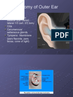 Anatomy of Outer Ear