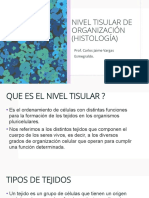 Nivel Tisular de Organización