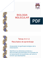 Biología molecular: Transcripción procariota