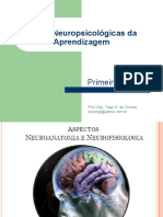 Apresentação de Slides Neuroanatomia -Primeira Parte.ppt (1)
