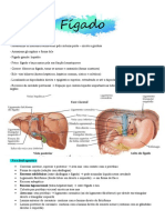 Fígado: - Face Diafragmática