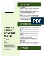 CV Genesis 2023