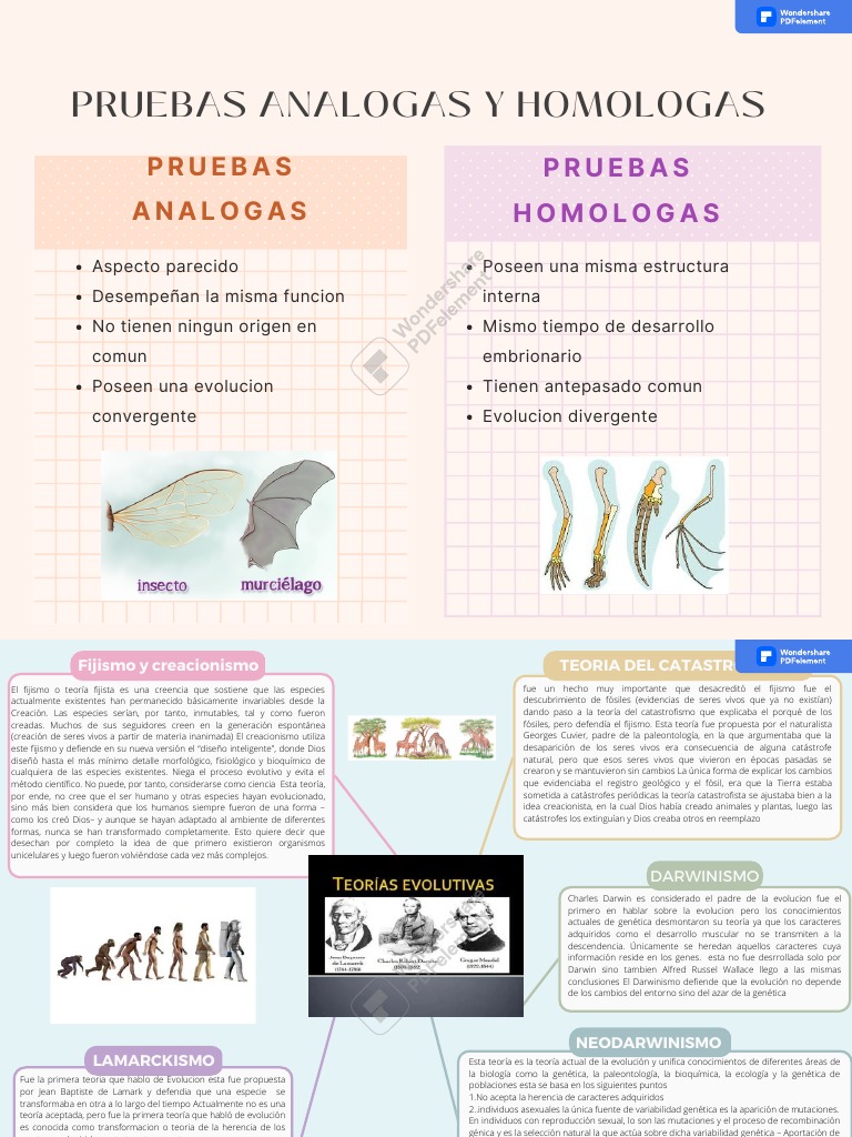 Pruebas Analogas Y Homologas | PDF | Evolución | Seleccion natural