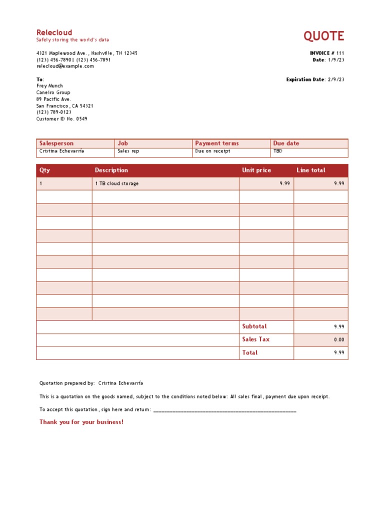 Relecloud Invoice for Caneiro Group | PDF