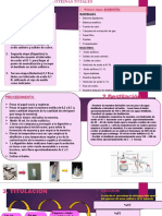 KOALA Pract .DETERMINACION DE PROTEINAS TOTALES