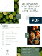 Aprovechamiento de Las Cáscaras de Los Citricos (Limon y Naranja)