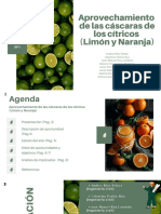 Aprovechamiento de Las Cáscaras de Los Citricos (Limon y Naranja)