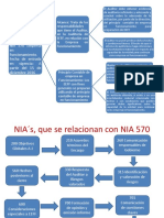 NIA 570 Resumen