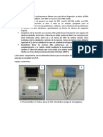 Componentes de La PCR EQUIPO Y MATERIALES