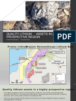 Quality Lithium Assets in A Highly Prospective Region: Investor Presentation - November 2022