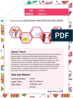 Uji pH & Kandungan Protein Dalam Urine