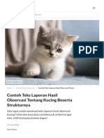 Contoh Teks Laporan Hasil Observasi Tentang Kucing Beserta Strukturnya - B105449