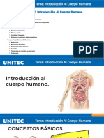 Introducción al cuerpo humano: conceptos básicos de anatomía y fisiología