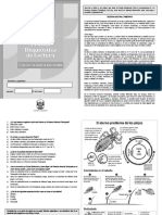 Evaluación Diagnostica 1 Año