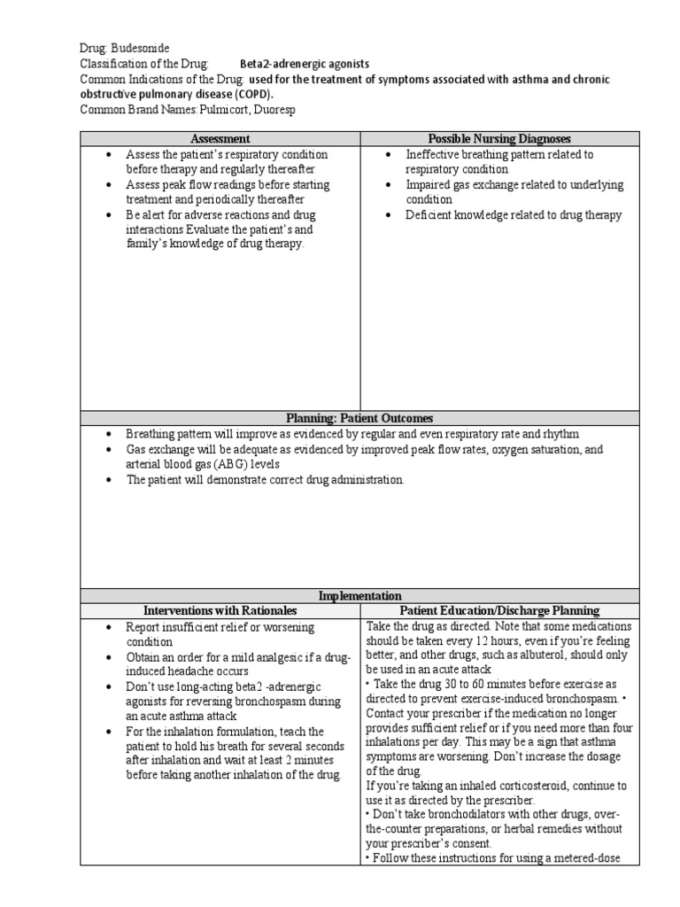 Nursing Process Focus Drug Study Template | PDF | Asthma | Chronic ...