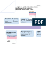 Línea Del Tiempo Embriología: Cruz Baesa Jose Antonio Mendoza Tapia Maria Paula Nombres: Cerecedo Zurita Ximena Berenice