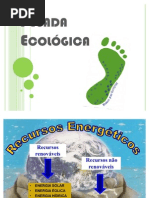 pegada ecológica final