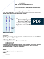 Genetica Resumen PDF