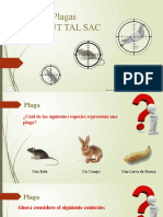 Control de Plagas Hortifrut Tal Sac