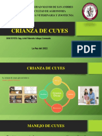CRIANZA DE CUYES