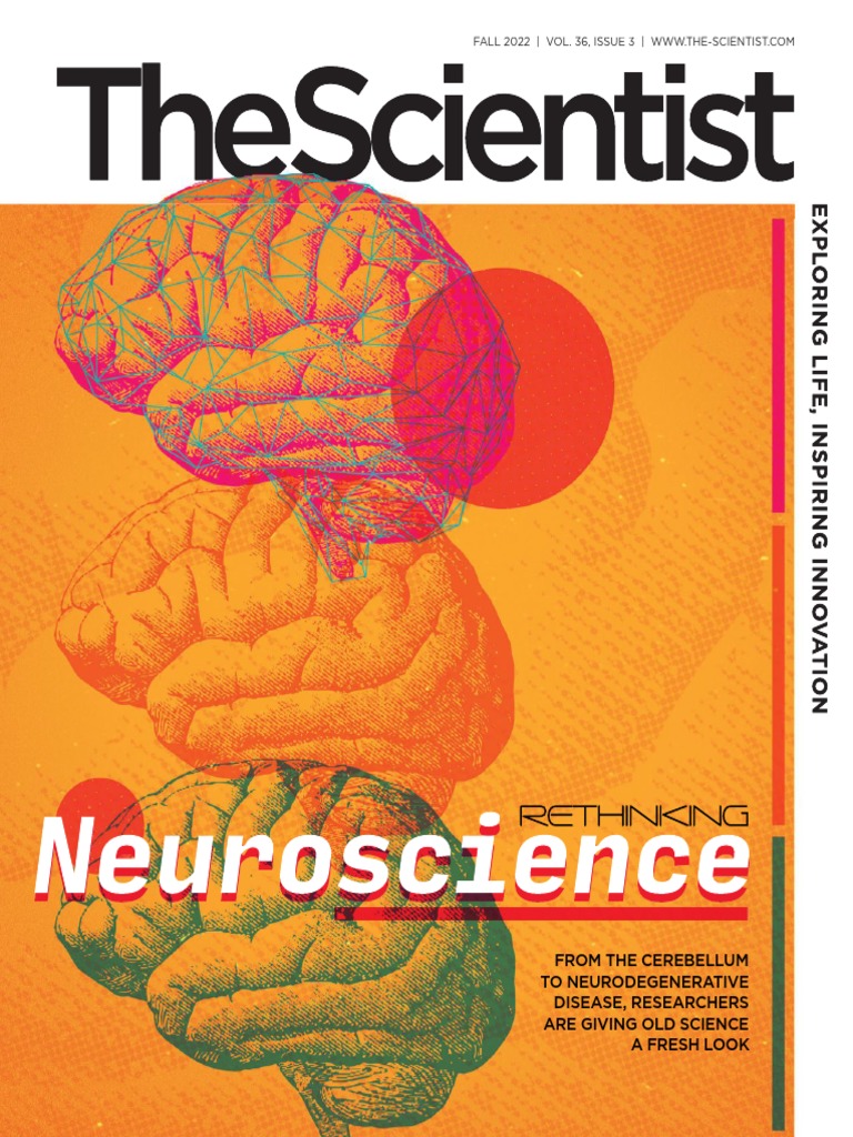From The Cerebellum To Neurodegenerative Disease, Researchers Are ...