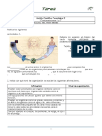 Tarea 1 Seres Vivos - Nutrición