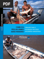 Manejo Da Pesca Dos Grande Bagres