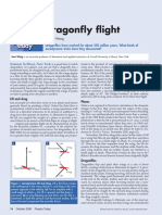 2008 Dragonfly Flight