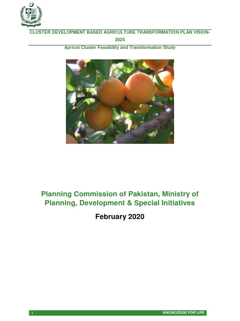 Apricot Cluster Report | PDF | Economies