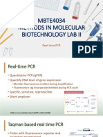 Real Time PCR