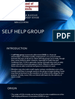 Self Help Group: Abhishek Kumar Ranjan Mentor: Dr. Sandeep Singh MBA MBA2210006