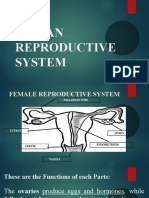 Human Reproductive System1