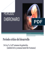 7.-PDF Periodo Embrionario