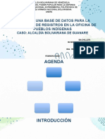 Diseño de Una Base de Datos para La Optimización de Registros en La Oficina de Pueblos Indígenas