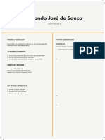 Orlando José de Souza: Profile Summary Work Experience