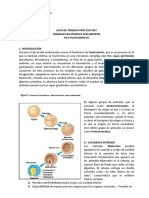 Guía de Trabajo Práctico Nº2 Animales Bilaterales Acelomados Filo Platelmintos