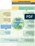 InforgrafíaSS - PrincipiosDeEcologíaIntegral - EF3