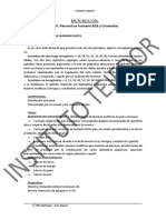 Microbiologa - 14 - HPV Parvovirus B19 y Enterovirus