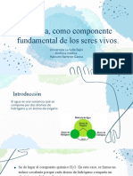 El Agua, Como Componente Fundamental de Los Seres Vivos