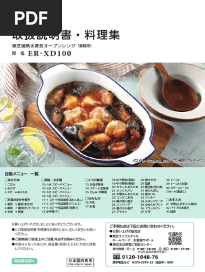Er XD100 | PDF