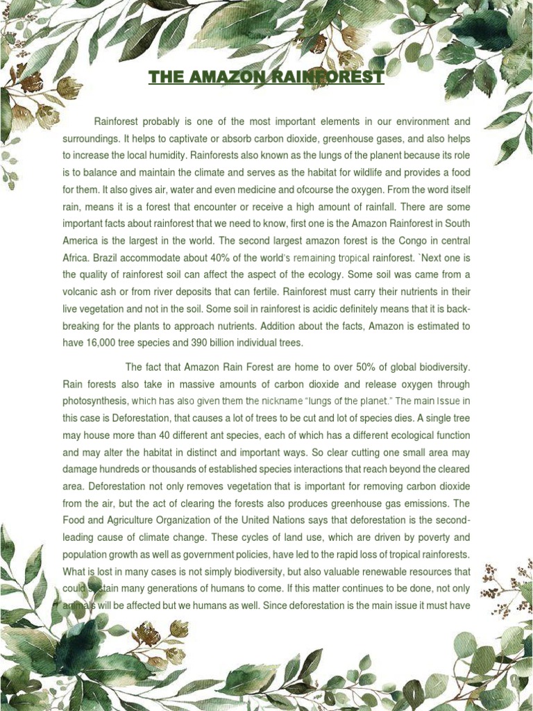 Group1 The Amazon Rainforest Pdf Amazon Rainforest Deforestation