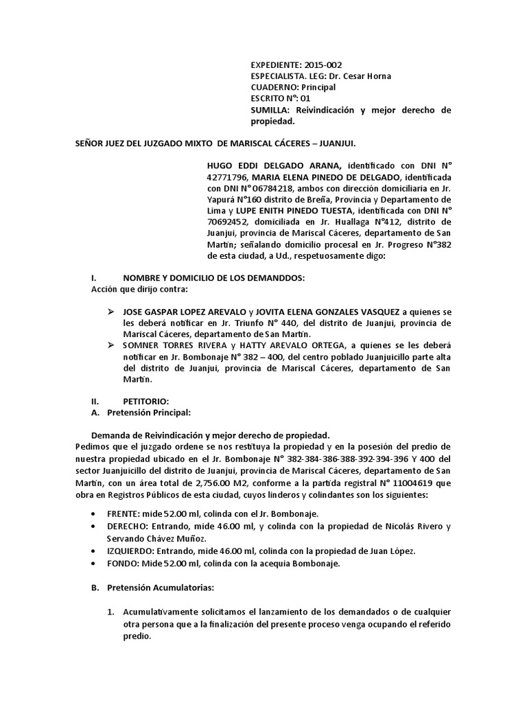 Reivindicación de propiedad de Pinedo | PDF | Propiedad | Demanda judicial