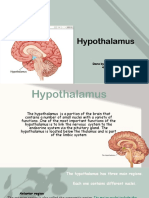 The Role and Functions of the Hypothalamus