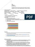 I. Emprendimiento: Sociedad Anónima Sociedad de Responsabilidad Limitada