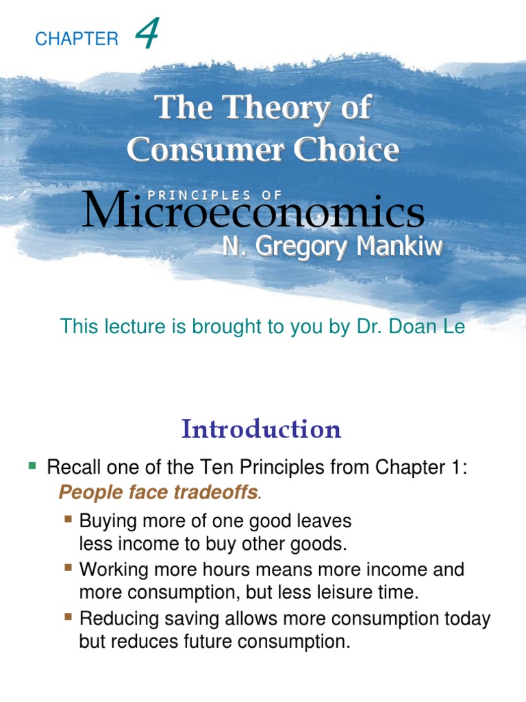 Consumer Choice | PDF | Consumption (Economics) | Marketing