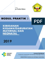 Modul Praktik 3: Kebidanan Kegawatdaruratan Maternal Dan Neonatal