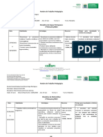 Roteiro de trabalho pedagógico de Pedro