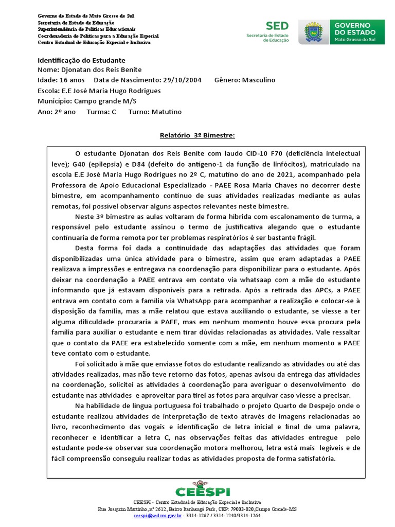 Pei - Relatório | Download grátis PDF | Educação Especial